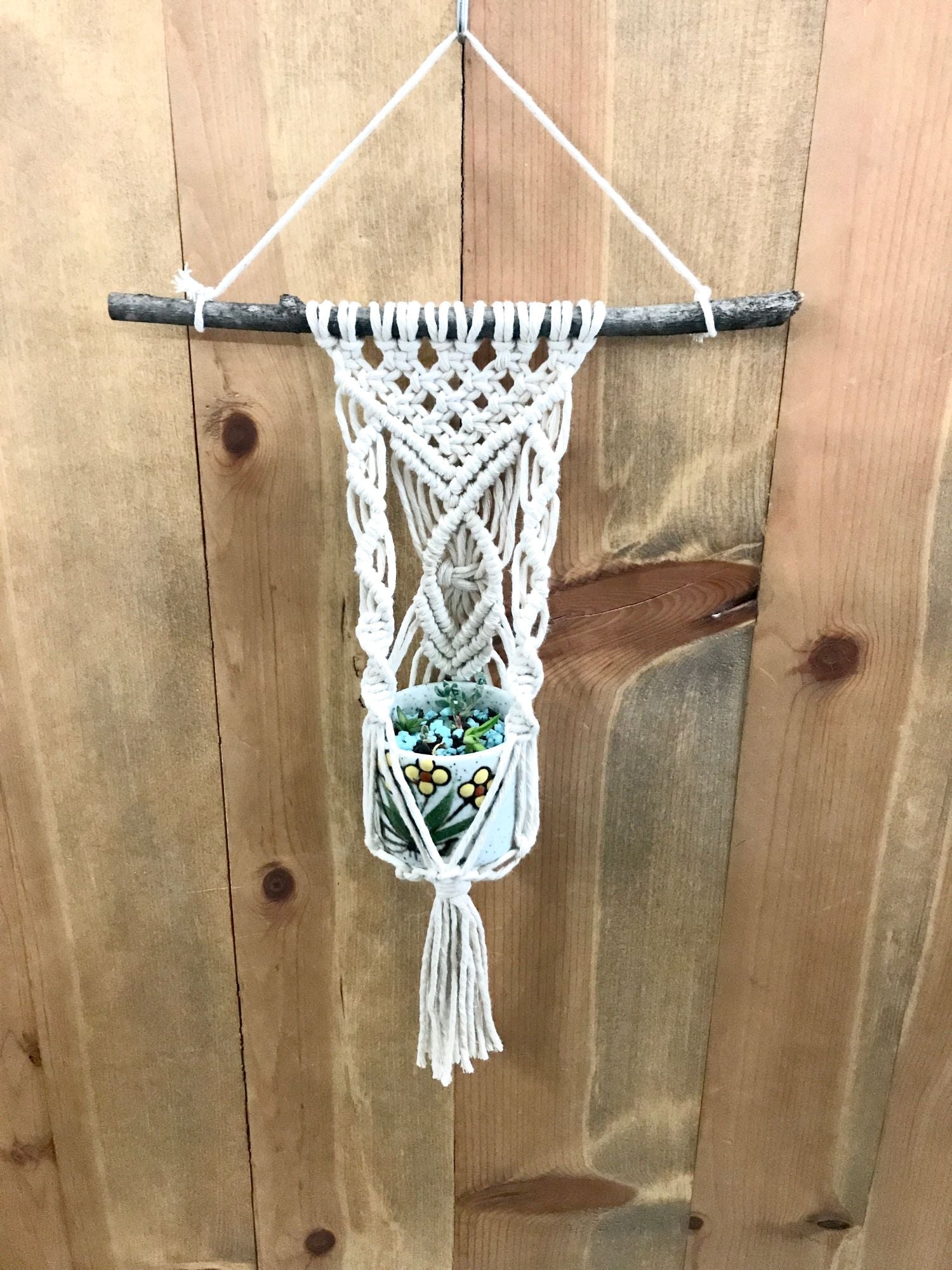 Macrame Air Plant Hanger kit - The Anna – Brylee Home