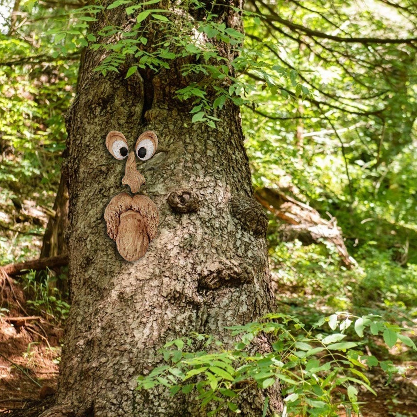 Old Man Tree Hugger Face