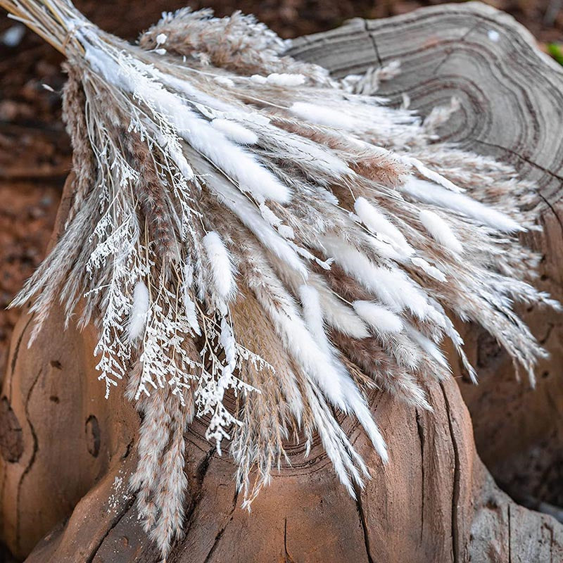 60/62/76/80/85/100pcs Boho Natural Pampas Grass