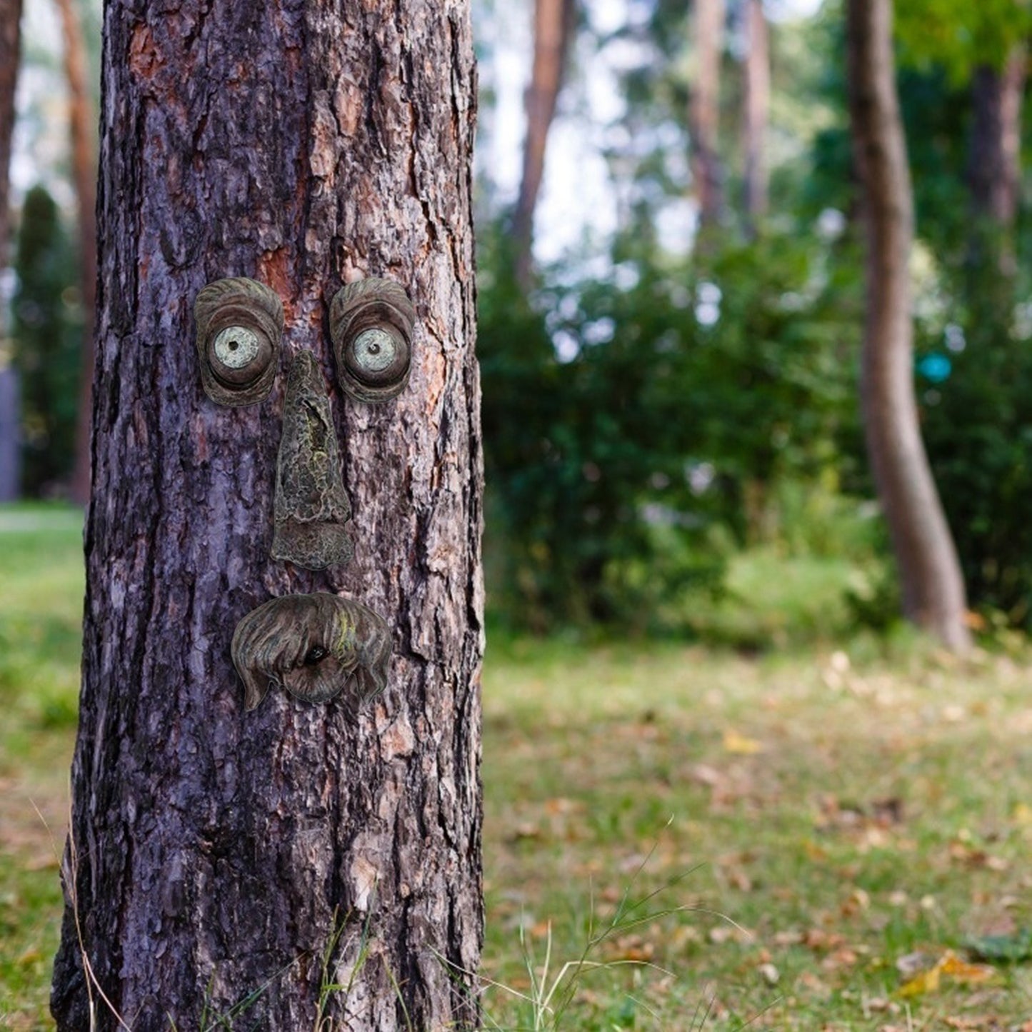 Old Man Tree Hugger Face